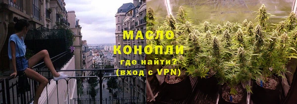 мдпв Богородск