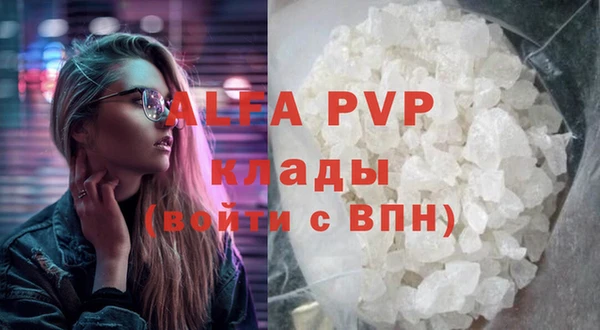 ГАЛЛЮЦИНОГЕННЫЕ ГРИБЫ Бородино
