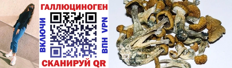 Галлюциногенные грибы GOLDEN TEACHER Барыш